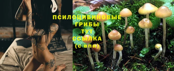 винт Белокуриха