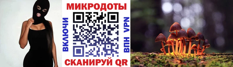 блэк спрут вход  Южноуральск  Псилоцибиновые грибы ЛСД 
